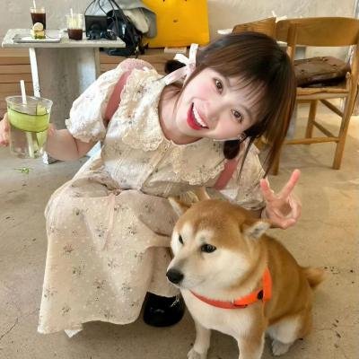 泼妇碧安卡